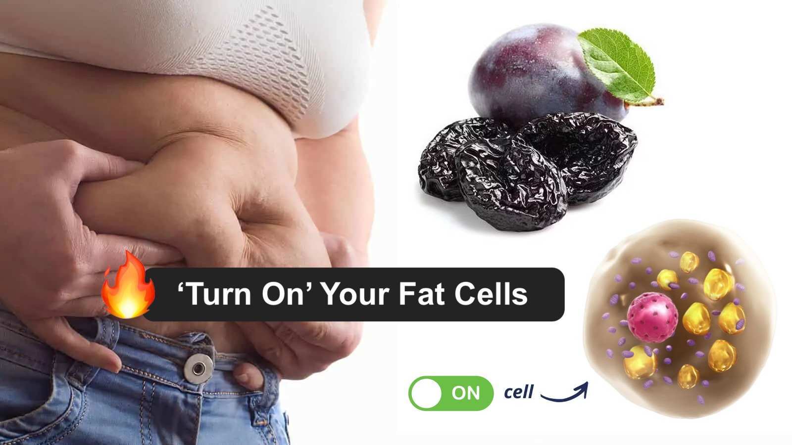 turn on your fat cells